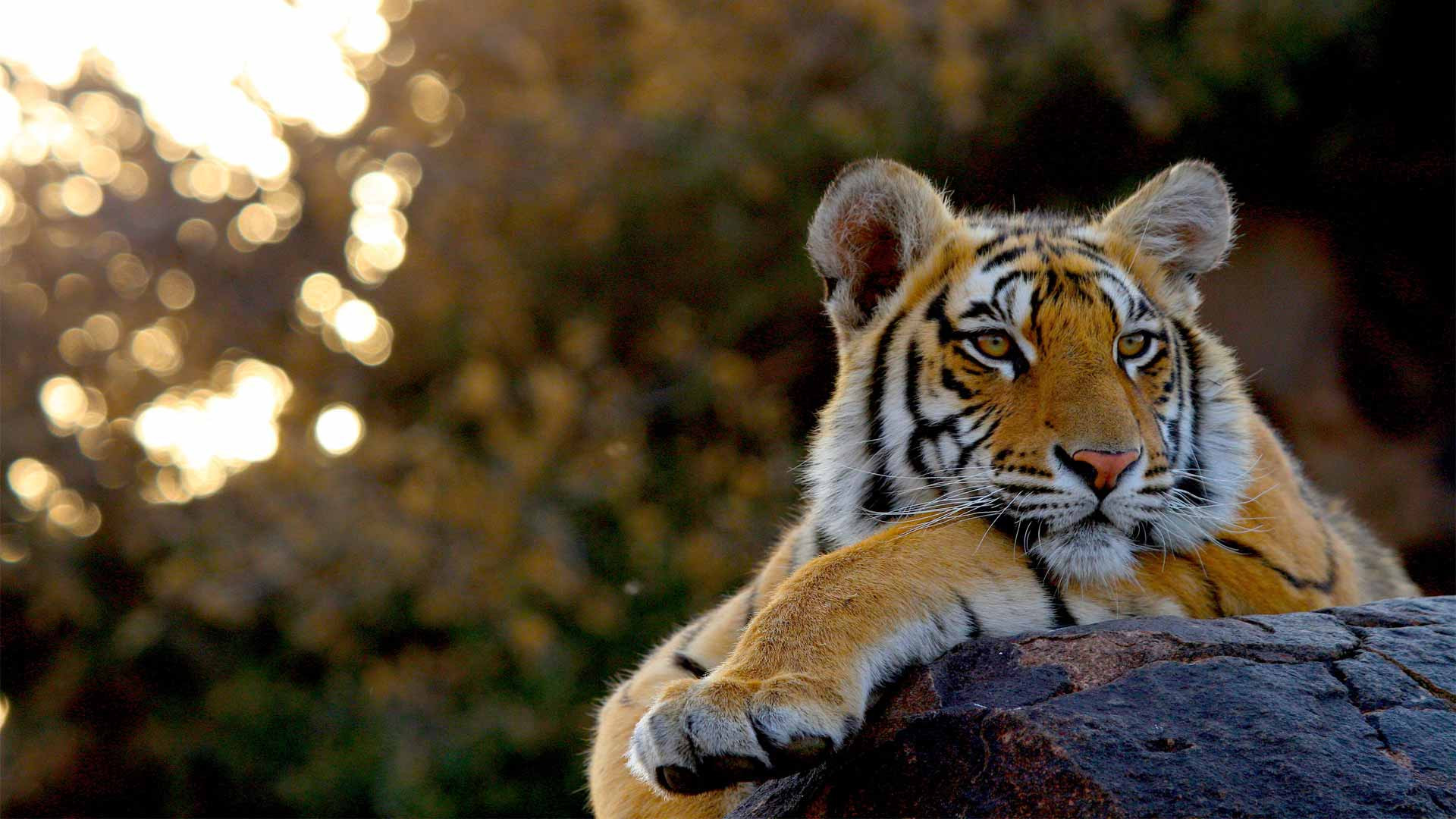 National Zoological Park