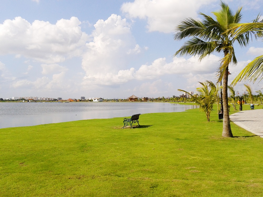 New Town Eco Park