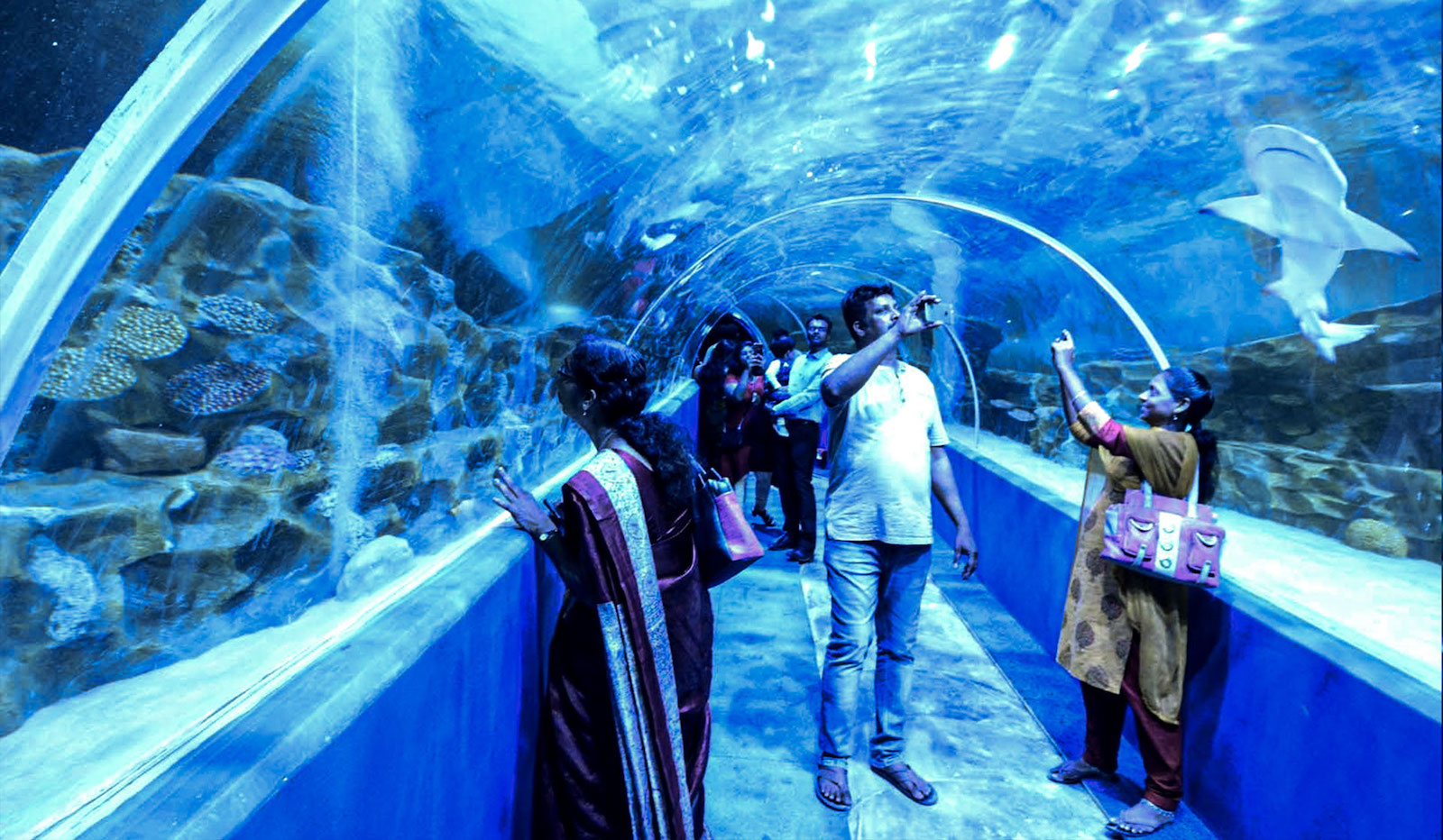 Marine world – CISO-Marine World India’s Largest Public Aquarium