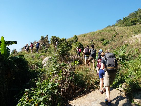 Trekking in Chiang Rai
