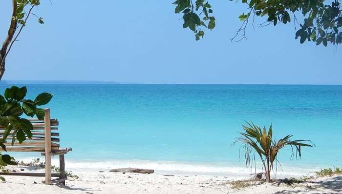 Radhanagar Beach