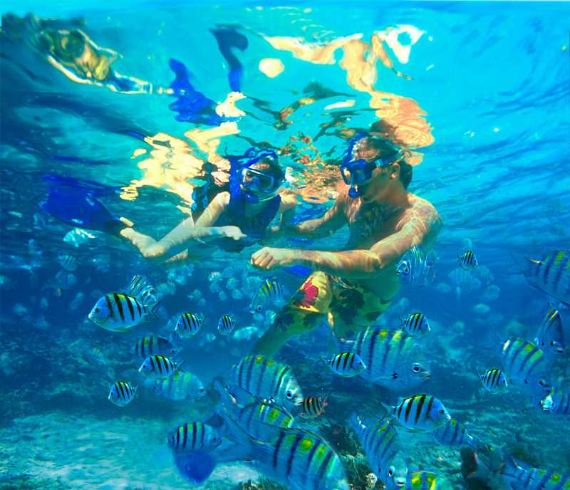Snorkeling in Andaman