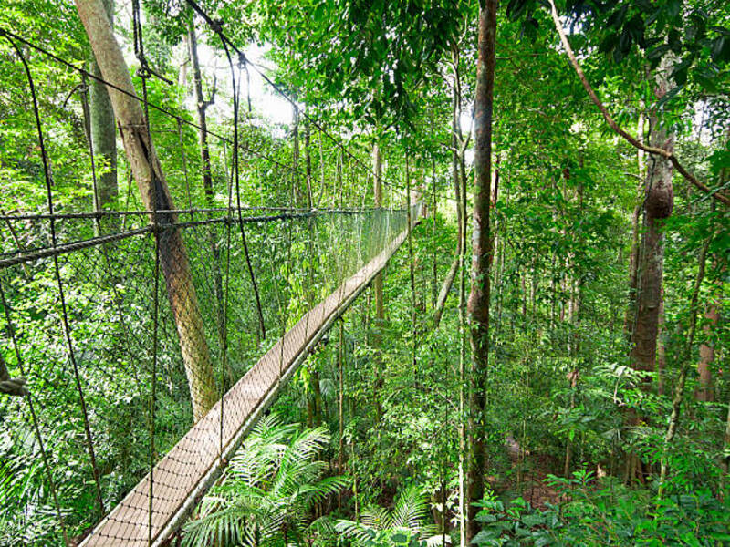 Taman Negara National Park