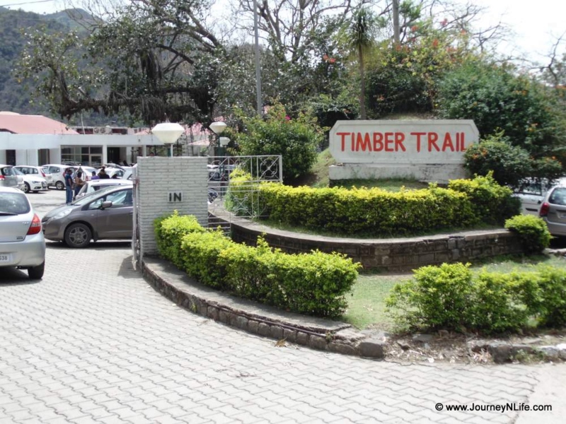 Timber Trail