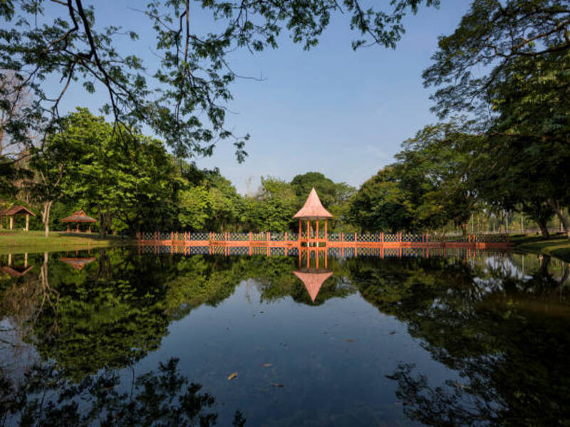 Taiping Lake Gardens