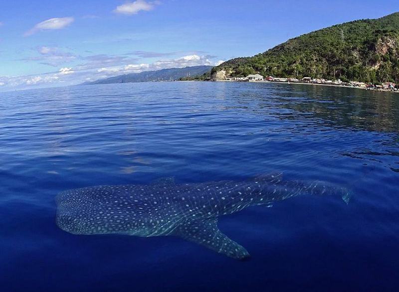 Lampu Naga Dive Site