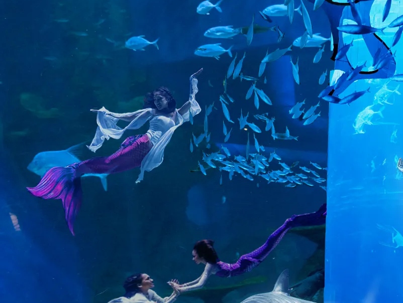 Jakarta Aquarium and Safari