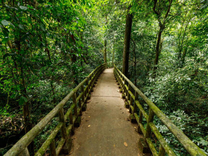 Cuc Phuong National Park