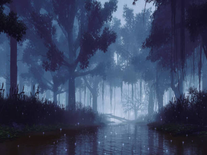 Fairy Stream