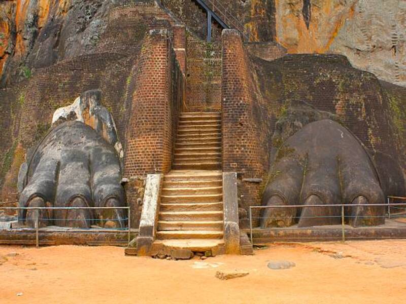 Lion's Paw Terrace