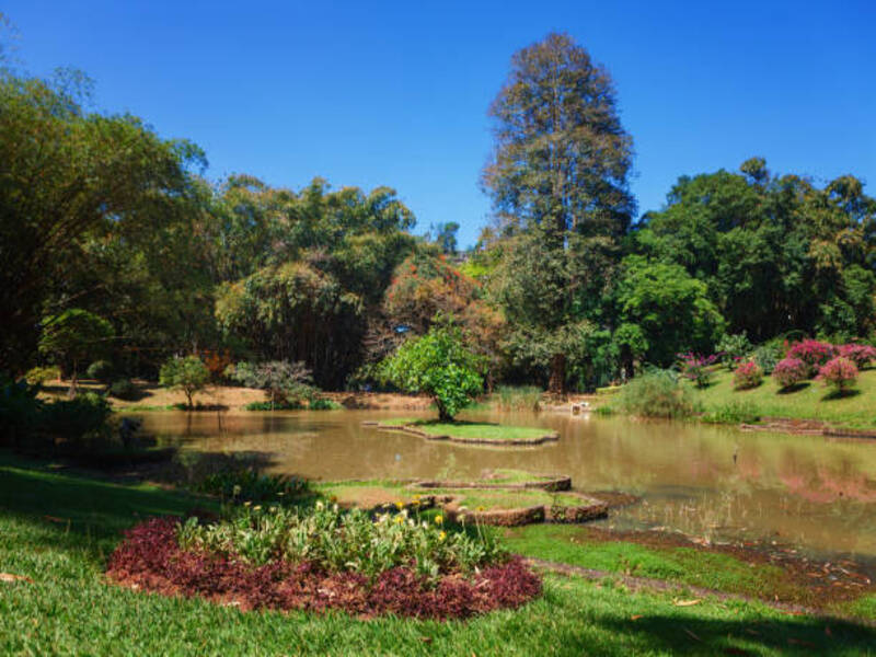 Peradeniya Royal Botanical Gardens