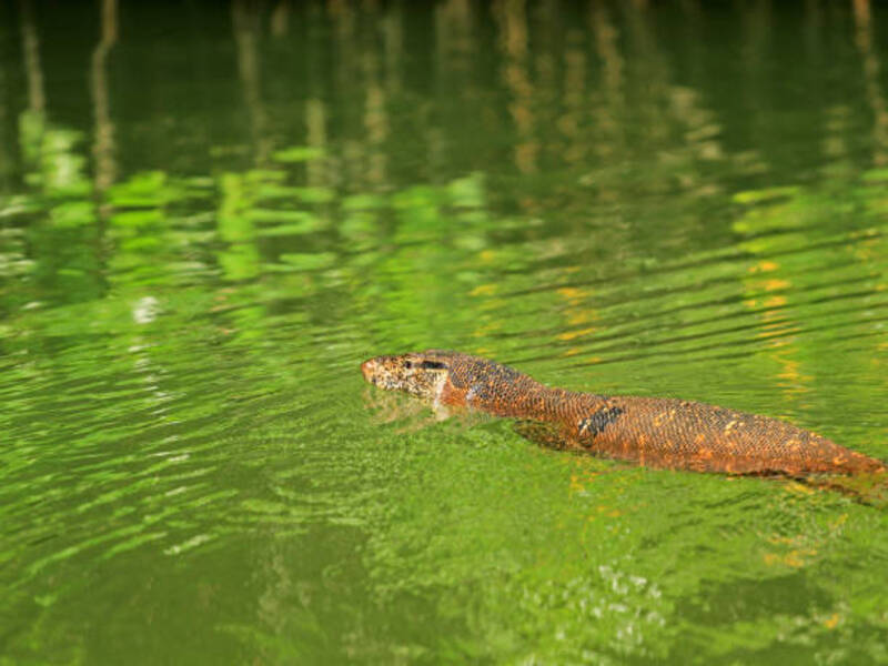 Hikkaduwa Lake